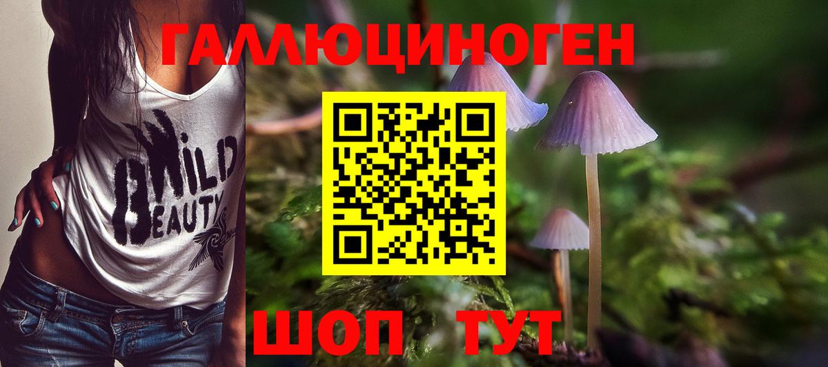 Котельники  Псилоцибиновые грибы MAGIC MUSHROOMS  где можно купить   Вход с VPN 